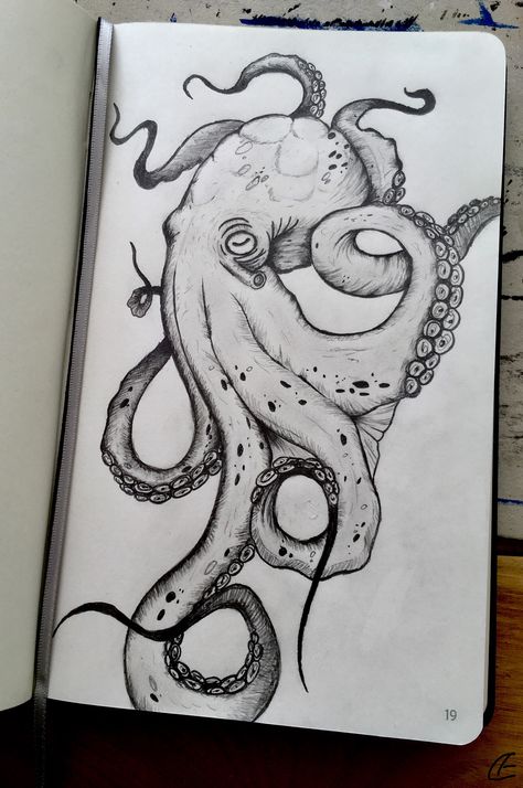 Octopus Drawing Easy, Octopus Sketches, Easy Octopus Drawing, Octopus Sketch, Jellyfish Doodle, Sea Creatures Drawing, Octopus Drawing, Whimsical Art Journal, Pencil Drawings For Beginners