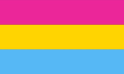 Pan Flag, Pansexual Flag, German Flag, Lgbtq Flags, Lgbt Flag, Pansexual Pride, Paper Trail, Rainbow Flag, Paradise Island