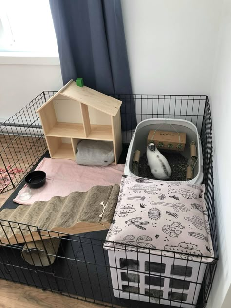 Bunny Play Pen, Bunny Cage Ideas, Indoor Bunny House, Rabbit Playground, Bunny Setup, Diy Bunny Cage, Indoor Rabbit House, Diy Bunny Toys, Indoor Bunny