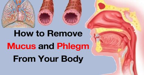 A feeling excess of mucus in your throat is a highly unfavorable sensation. A buildup can have you feeling as if something is stuck, and the urge to clear your throat can be both persistent and frustrating. In many cases, an infection in the upper respiratory tract may be the cause, however, conditions like allergies,... Fleas Home Remedies, Home Remedies For Sore Throat, Home Remedies For Fleas, Home Remedies For Glowing Skin, Skin Home Remedies, Acne Home Remedies, Remedies For Glowing Skin, Home Remedies For Cough, For Sore Throat