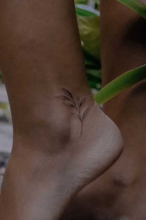 Olive branch tattoo Subtle Nature Tattoos, Ankle Olive Branch Tattoo, Beautiful Ankle Tattoos, Small Tattoo Ankle Woman, Small Vines Tattoo, Olive Branch Small Tattoo, Tattoo Ankle Placement, Elegant Ankle Tattoos, Dainty Tattoo Placements