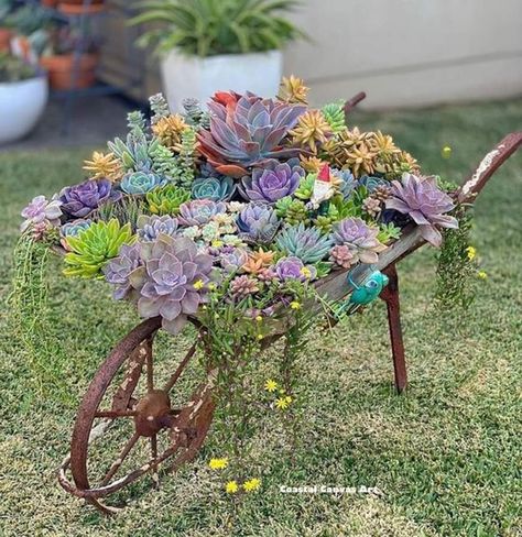 Wheelbarrow Planter Ideas, Wheelbarrow Planter, Wheelbarrow Garden, Wheel Barrow, Succulent Garden Design, Succulent Garden Diy, Recycled Garden, Succulent Gardening, Rock Garden Landscaping