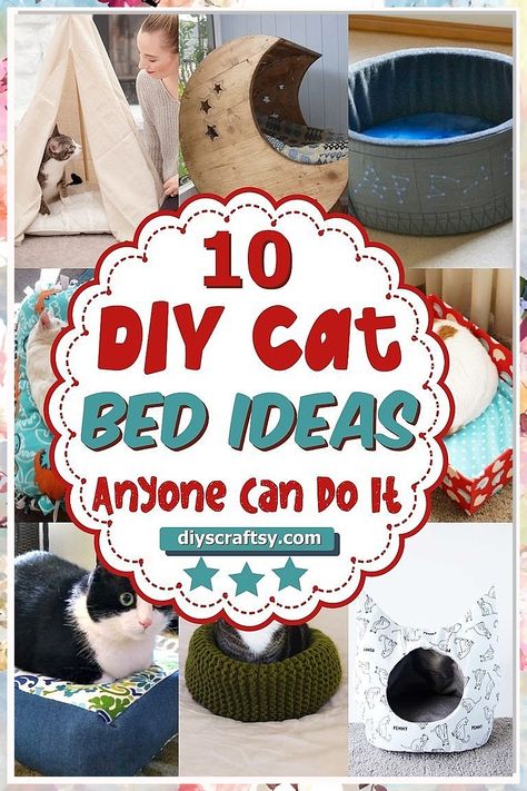 Looking for the purr-fect cat bed ideas to spoil your feline friend? Check out these 6 creative and cozy options that will have your cat napping in style. From DIY projects to unique designs, find the perfect bed that your furry companion will love. Diy Cat Basket Bed, Making Cat Beds, Diy Cat Cave Bed, Homemade Cat Bed, Diy Cat Bed Cardboard, Homemade Cat Beds Diy, Diy Cat Bed Easy, Diy Cat Stuff Easy, Cat Beds Diy