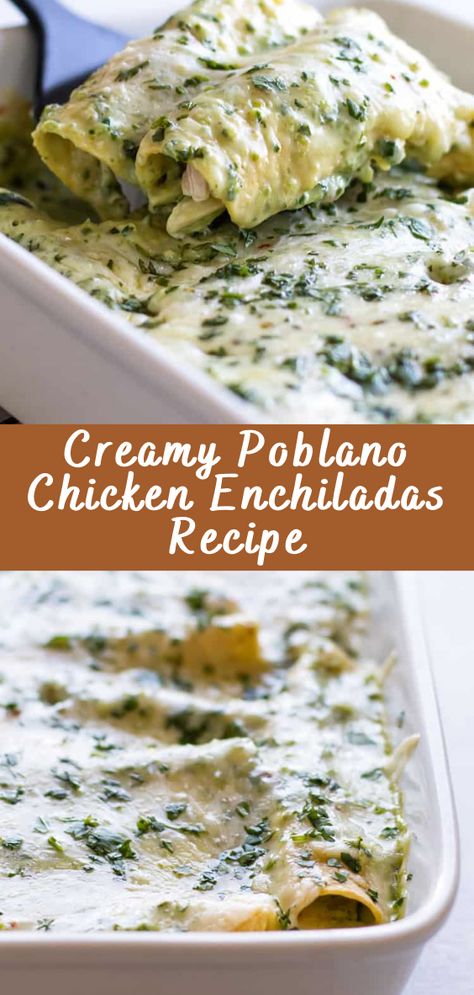 Poblano Chicken Lasagna, Poblano Sauce Enchiladas, Pablono Enchiladas, What Goes With Enchiladas, Chicken Enchiladas With Poblano Cream Sauce, Pablano Pepper Enchilada Sauce, Creamy Shrimp Enchiladas Recipe, Joanna Gaines Enchiladas, Creamy Poblano Chicken Enchiladas