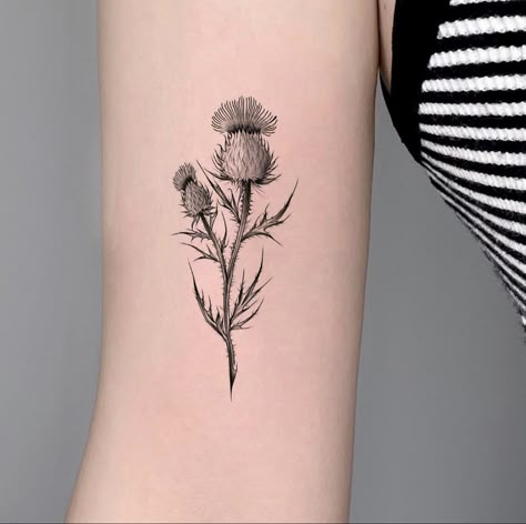 Thistle Tattoo Black, Fineline Flowers, Evan Tattoo, Thistle Flower Tattoo, Just Breathe Tattoo, Scotland Tattoo, Scottish Thistle Tattoo, Scottish Tattoos, Thistle Tattoo