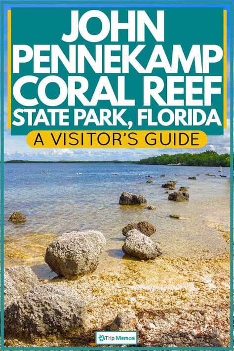 St Andrews State Park Florida, Things To Do In Panama City Beach Fl, Panama City Beach Florida Things To Do, Panama City Beach Florida Kids, Key West Florida Vacation, Florida National Parks, Florida Keys Road Trip, Panama Beach, Florida Parks