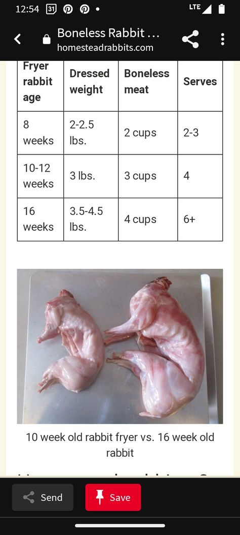 Rabbit Meat Packaging, Micro Homestead, Meat Rabbits Breeds, Silver Fox Rabbit, Breeding Rabbits, Rabbit Breeding, Rabbits For Meat, Raising Rabbits For Meat, Meat Packaging