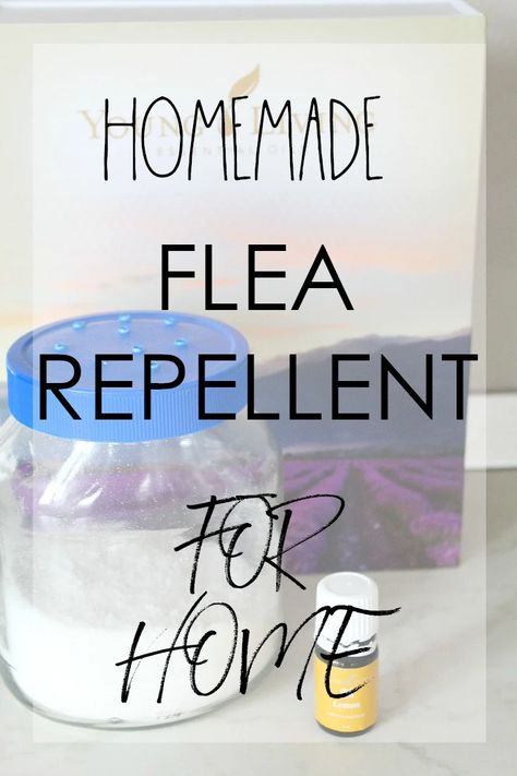 Flea Repellent For Home, Homemade Flea Killer, Natural Flea Killer, Flea Spray For House, Homemade Flea Spray, Natural Flea Remedies, Flea Powder, Flea Removal, Flea Remedies