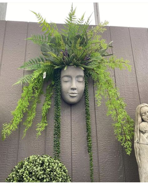 نباتات منزلية, Face Planters, Garden Decor Projects, Head Planters, Plant Decor Indoor, House Plants Decor, Plant Lighting, Balcony Garden, Vertical Garden