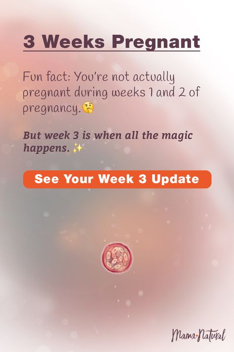 3-4 Weeks Pregnant, Week 3 Pregnancy Symptoms, 4 Weeks Pregnant Symptoms, 3 Weeks Pregnant Symptoms, Pregnancy Week Calculator, Three Weeks Pregnant, 2 Weeks Pregnant, Pregnancy Symptoms By Week, 3 Weeks Pregnant