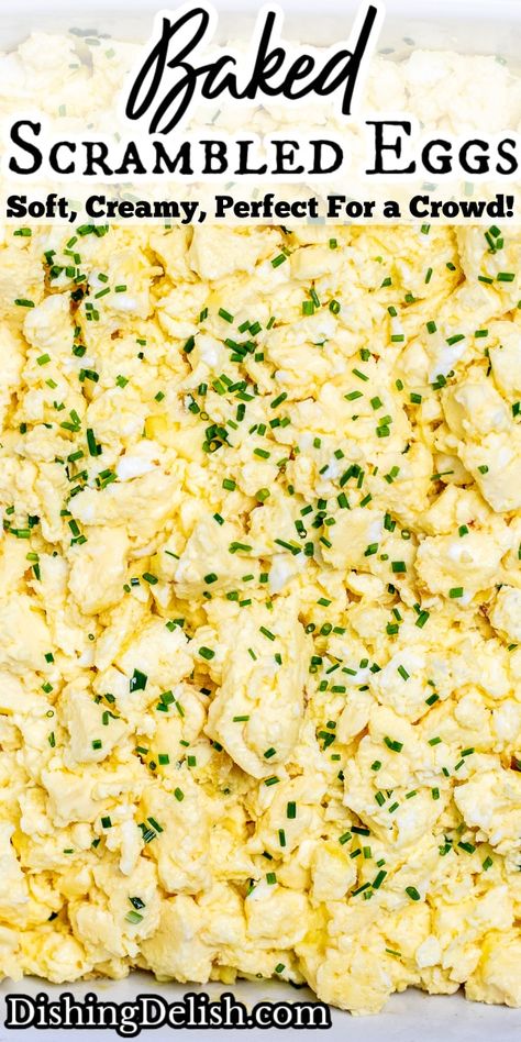 Baked Scrambled Eggs are the perfect way to feed a large crowd, made with only 5 simple ingredients and ready in under 45 minutes! Scrambled Egg Recipes For A Crowd, How To Make Scrambled Eggs For A Crowd, Easy Eggs For A Crowd, Scramble Eggs For A Crowd, Make Ahead Scrambled Eggs For A Crowd, Egg Casserole For Large Crowd, Oven Scrambled Eggs For A Crowd, Egg Bake For A Crowd, Baked Scrambled Eggs Oven