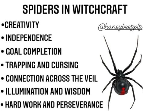 Spider Meaning In Witchcraft, Spiders In Witchcraft, Spider Omens Witchcraft, Spider Symbolism, Charm Casting, Spirit Animal Meaning, Animal Meanings, Hoodoo Spells, Witch Board