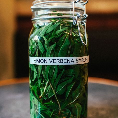 Lemon Verbena Recipes, Diy Food Ideas, Syrup Recipes, Simple Syrup Recipes, Herb Recipes, Herbal Recipes, Herbal Apothecary, Rum Cocktail, Herb Gardening