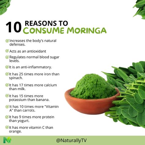 The​ moringa​​​​​​ is​ a​ authentic​​​​​​​​ treasure​​​​​ of​ the​ nature​​​​​​​​​ 🌱 ✨ .  Rich in antioxidants, this superfood aid to combat he stress oxidative and to st rength​​​​​​​​ he​ ​​​​​​immune system 🛡 .  With a high content of vitamins TO, C and AND, promotes the health of the fur and improvement the​ vision​​​​​ 👀💚 .  Besides, his input of iron and proteins the converts in ally perfect.  #Moringa #NaturalHealth #Welfare #naturallytv Health Benefits Of Moringa Powder, Moringa Oil Benefits, Moringa Smoothie, What Is Moringa, Moringa Recipes, Gut Cleanse, Moringa Benefits, Moringa Seeds, Seeds Benefits