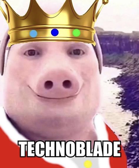 Technoblade Face, John Pork Is Calling, John Pork, Meme Book, Mentally Stable, Minecraft Youtubers, A Meme, Know Your Meme, Dream Team