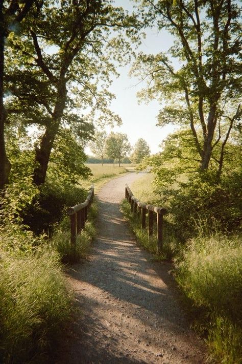 Kodak Gold 200 Film Photos, Film Photography Landscape, Nature Film Photography, Kodak Gold Film, Kodak Gold 200 Film, Gold 200 Film, Travel Film Photography, Nostalgic Photography, Vintage Film Photography