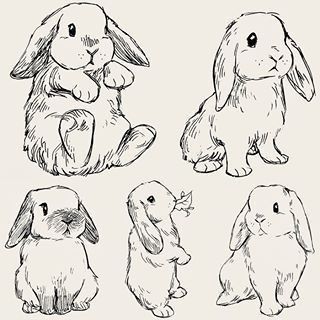 Photo Studies, Bev Johnson, Time Wasted, Rabbit Drawing, Bunny Tattoos, Animal Drawings Sketches, Couple Drawing, Art Drawing Sketch, Bunny Drawing