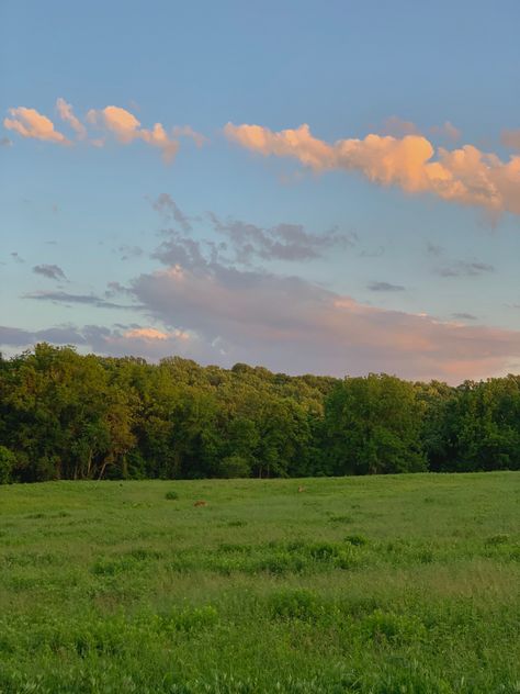 Summer Landscape Aesthetic, Background Park, Sunny Park Aesthetic, Park Aesthetic Background, Aesthetic Summer Backgrounds, Sunny Nature Aesthetic, Sunny Aesthetic Pictures, Sunny Nature, Nature Park Aesthetic