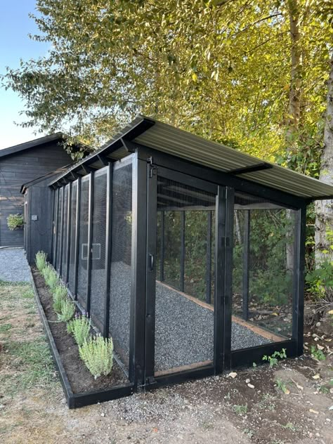 Chicken Coop - Modular Chicken Coop, Pavers Around Chicken Coop, Backyard Garden And Chicken Coop, Cute Chicken Run, All Black Chicken Coop, Chicken Coop Ideas With Run, Fenced Chicken Yard, Cute Chicken Coupe Ideas, Long Chicken Coop