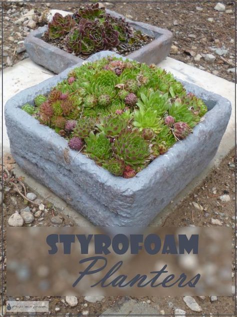 Styrofoam Planters - hand carved and painted to keep it out of the waste stream... Garden Art | Garden Plant Pots Styrofoam Recycling, Styrofoam Crafts, Fox Farm, Upcycled Garden, Rock Garden Plants, Cheap Backyard, Cooler Ideas, Succulent Landscaping, Upcycle Garden