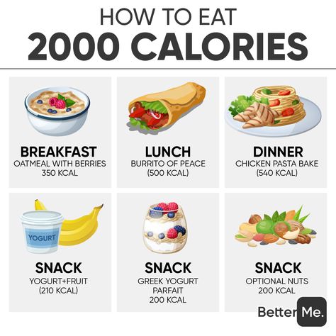 Healthy 2000 Calorie Meal Plan, What Does 2000 Calories Look Like, 2000calorie Meal Plan, 2000 Kcal Meal Plan, Under 2000 Calorie Meal Plan, Healthy Proportioned Meals, 2000 Calorie Vegan Meal Plan, 2200 Calorie Meal Plan For Women, 2500 Calorie Meal Plan For Women