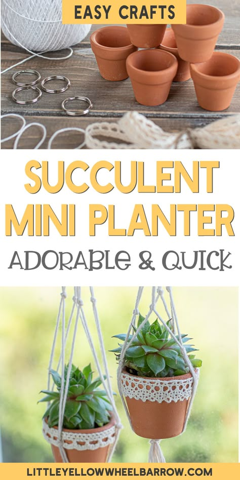 Clay Pot Succulents Diy, Pot Plant Gift Ideas, Dollar Store Succulent Ideas, Succulent Craft Ideas, Small Terra Cotta Pot Ideas, Diy Mini Succulent Planter, Easy Plant Crafts, Tiny Terra Cotta Pot Ideas, Succulent Crafts To Sell