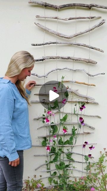 Tanya Anderson 🌿 Lovely Greens on Instagram: "All the materials you need to make this plant trellis are sticks (we used driftwood), string, and six screws. It's now over a year old and looks amazing covered with sweet peas!

👉 Comment trellis and I'll send the DIY video to you

#gardening #diygarden #gardener #gardenproject #trellis #cottagegarden #cottagecore" Diy Plant Trellis, Lovely Greens, Wood Trellis, Diy Garden Trellis, Plant Trellis, Outdoor Trellis, Diy Trellis, Balcony Plants, Trellis Plants