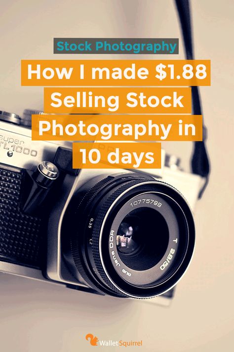 How I made $1.88 Selling Stock Photography in 10 days as a new Shutterstock Contributor Where To Sell Stock Photos, How To Sell Stock Photos, Selling Stock Photos, 2023 Jobs, Stock Photography Ideas, Selling Photography, Freelance Photography, Shutter Stock, Selling Photos