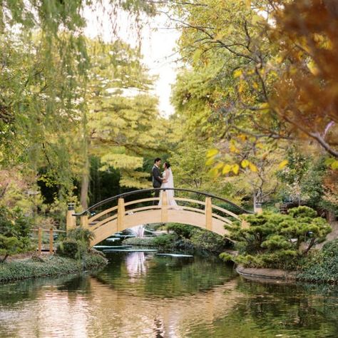 Weddings - Fort Worth Botanic Garden Fort Worth Botanical Gardens, Garden Venue, Japanese Landscape, Traditional Garden, Traditional English, Outdoor Venues, Engagement Photo Poses, Garden Features, Fort Worth