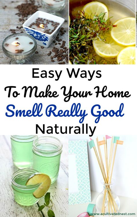 Diy Room Fragrance, Fragrance Hacks, Natural Room Deodorizer, Pot Potpourri, Room Deodorizer, Simmer Pot Recipes, Homemade Air Freshener, Diy Fragrance, Diy Air Freshener