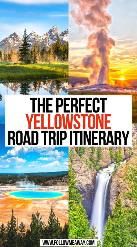 The Perfect Yellowstone Road Trip Itinerary Yellowstone Vacation Planning, Yellowstone Road Trip, Yellowstone Itinerary, Yellowstone National Park Vacation, Wyoming Vacation, Yellowstone Vacation, Montana Vacation, Yellowstone Camping, Yellowstone Trip