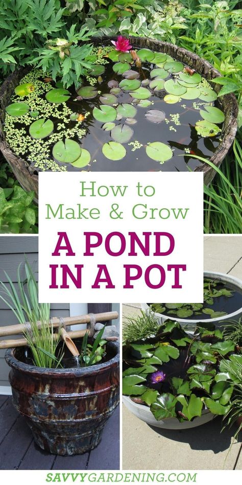 Easy Garden Water Features, Small Pond For Garden, Little Pond Ideas Small Gardens, Small Plant Garden Ideas, Pond Container Ideas, Water Garden In A Pot, Potted Water Garden, Water Lily Container Garden, Mini Ponds In A Pot