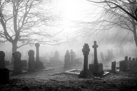 7 Spooky Trips to Take This Halloween Tombstone Pictures, Grave Yard, Whitby Abbey, Places In America, Most Haunted Places, Old Cemeteries, Ghost Cat, Most Haunted, Ghost Hunting