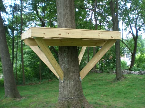 Tree platform, steps at http://villagecustomfurniture.wordpress.com/2012/06/25/tree-fort-platform/ Tree Platform, Diy Tree House, Tree Forts, Garden Tree House, House Ladder, Tree House Interior, Simple Tree House, Fort Ideas, Backyard Fort