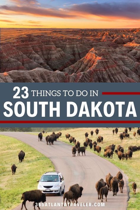 There are plenty of things to do in South Dakota, no matter what your interests may be. With plenty of outdoor recreation, historical sites, national parks, attractions, and more -- you can't miss visiting South Dakota. Things To Do In South Dakota, South Dakota Aesthetic, South Dakota Road Trip, South Dakota Vacation, South Dakota Travel, Crazy Horse Memorial, Wind Cave National Park, Sioux Falls South Dakota, Sylvan Lake