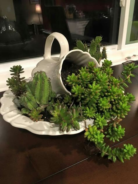 Old fashion pitcher/bowl arrangement Kaktus Dan Sukulen, Succulent Garden Indoor, Succulent Garden Design, نباتات منزلية, Succulent Garden Diy, Dish Garden, Succulent Gardening, Succulents Indoor, Garden Art Projects