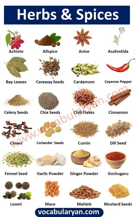 Herbs and Spices Chart, Herbs List, Spice Vocabulary, List of Common Spices, Herbs Names in English With Pictures, Common Herbs and Spices, Difference Between Herbs and Spices, List of Spices and Their Uses Spices Chart, Spices And Their Uses, Fruits And Vegetables Names, Spices List, List Of Herbs, Spice Chart, Fruits And Vegetables List, Fruits Name In English, Fruits Name