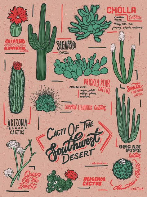 Cacti Of The Southwest :: Behance Cactus Branding, Cactus Illustration Design, Vintage Desert Aesthetic, Candle Business Logo, Posca Marker Art, Southwest Aesthetic, Western Collage, Desert Illustration, Cacti Art