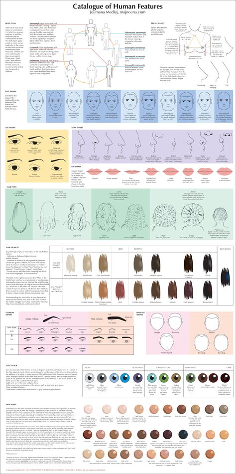 Eye Reading, Inkscape Tutorials, Anatomy Tutorial, 얼굴 그리기, Anatomy Reference, Art Instructions, Drawing Lessons, Drawing Tutorials, Art Tips