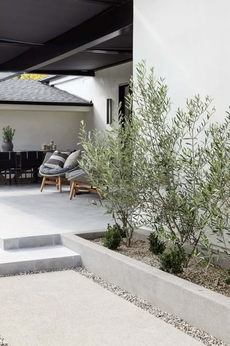 Ficus Landscaping, Modern Organic Outdoor Space, Japandi Pool Area, Minimal Backyard Landscaping, Modern Outdoor Landscaping, Japandi Landscaping, Japandi Outdoor Space, Japandi Yard, Concrete Outdoor Area