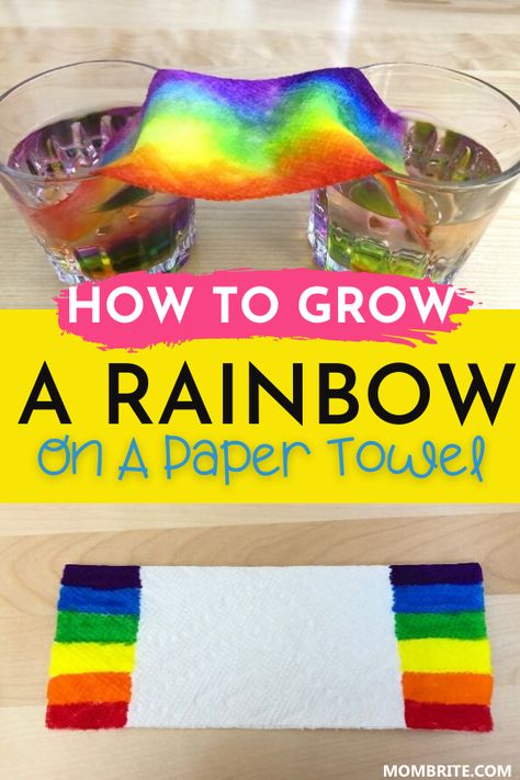 Paper Towel Experiment, Grow A Rainbow, Pre-k Science, Science For Toddlers, Summer Calendar, Rainbow Activities, April Crafts, Science Week, Preschool Science Activities