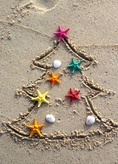 Christmas Beach Photos, Beach Christmas Pictures, Beach Christmas Tree, Caribbean Christmas, Beach Christmas Trees, Christmas Humor Ecards, Christmas Tree Decorated, Funny Beach, Florida Christmas