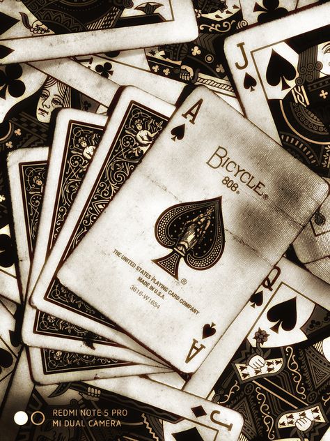 Playing Cards Astethic, Poker Cards Aesthetic, Deck Of Cards Aesthetic, Poker Aesthetic, Cards Aesthetic, Twisted Fate, Sketching Tips, Lets Play A Game, Funny Parrots