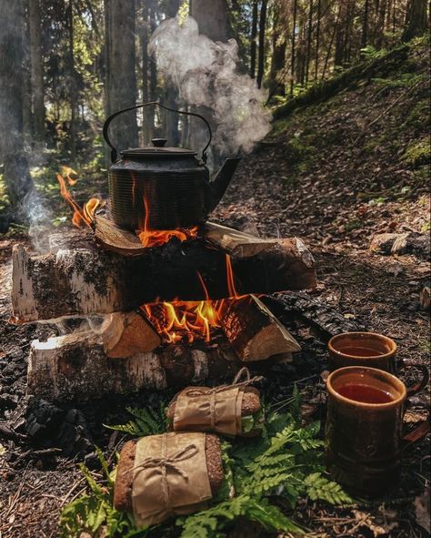 Camping Inspiration, Camping Vibes, Camping Photography, Fall Camping, Camping Aesthetic, Bushcraft Camping, Festival Camping, Adventure Aesthetic, Open Fire