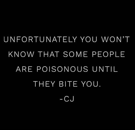 Snakes Are Everywhere Quotes, Some People Are Like Snakes Quotes, Fraud People Quotes, Gloves Are Off Quotes, Friends That Are Snakes Quotes, Be Careful Of Snakes Quotes, People Being Snakes Quotes, Quotes About People Being Snakes, Snake Quotes People Lessons Learned