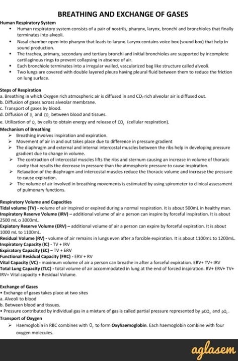 Important Notes of Biology for NEET: Breathing and Exchange of Gases Breathing And Exchange Of Gases Notes For Neet, Respiratory System Anatomy Notes, Human Respiratory System Notes, Human And Social Biology Notes, Breathing And Exchange Of Gases Notes, Neet Exam Notes, Anatomy Respiratory System, Biology Tricks, Breathing And Exchange Of Gases