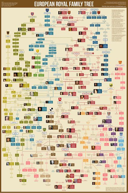 English is FUNtastic: British Royal Family Tree European Royal Family Tree, British Royal Family Tree, Ap Euro, Royal Family Tree, American History Timeline, Family Tree Poster, Royal Family Trees, Family Tree Chart, Tree Poster