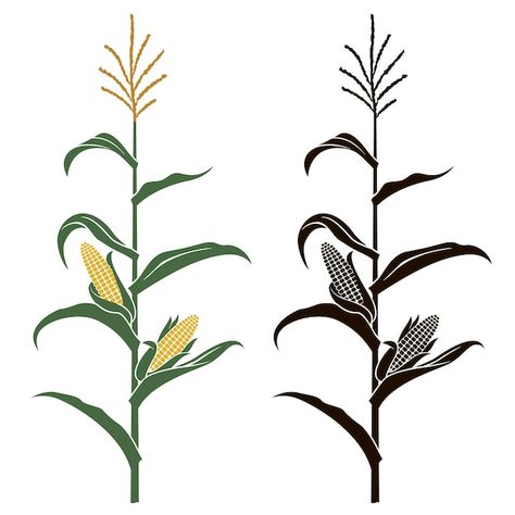 Vector corn stalk illustrations | Premium Vector #Freepik #vector #maize #crops #corn-plant #corn-logo Food Mural, Maize Plant, Corn Drawing, Corn Design, Corn Crop, Farm Vector, Leaf Vector, Corn Stalks, Corn Plant