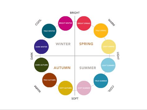 In this category, we explore each of the twelve sub-seasons of the seasonal colour analysis in greater detail. Find out which colours work best on you. Season Analysis, Seasons Chart, True Spring Colors, True Winter Color Palette, Light Summer Color Palette, Concept Wardrobe, Roofing Colors, Soft Autumn Color Palette, Soft Summer Color Palette