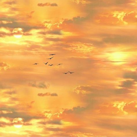 Sky With Birds, Yellow Collage, Yellow Aesthetics, Gold Sunset, Iphone Wallpaper Yellow, Yellow Aesthetic Pastel, Hufflepuff Aesthetic, Aesthetic Yellow, Yellow Theme